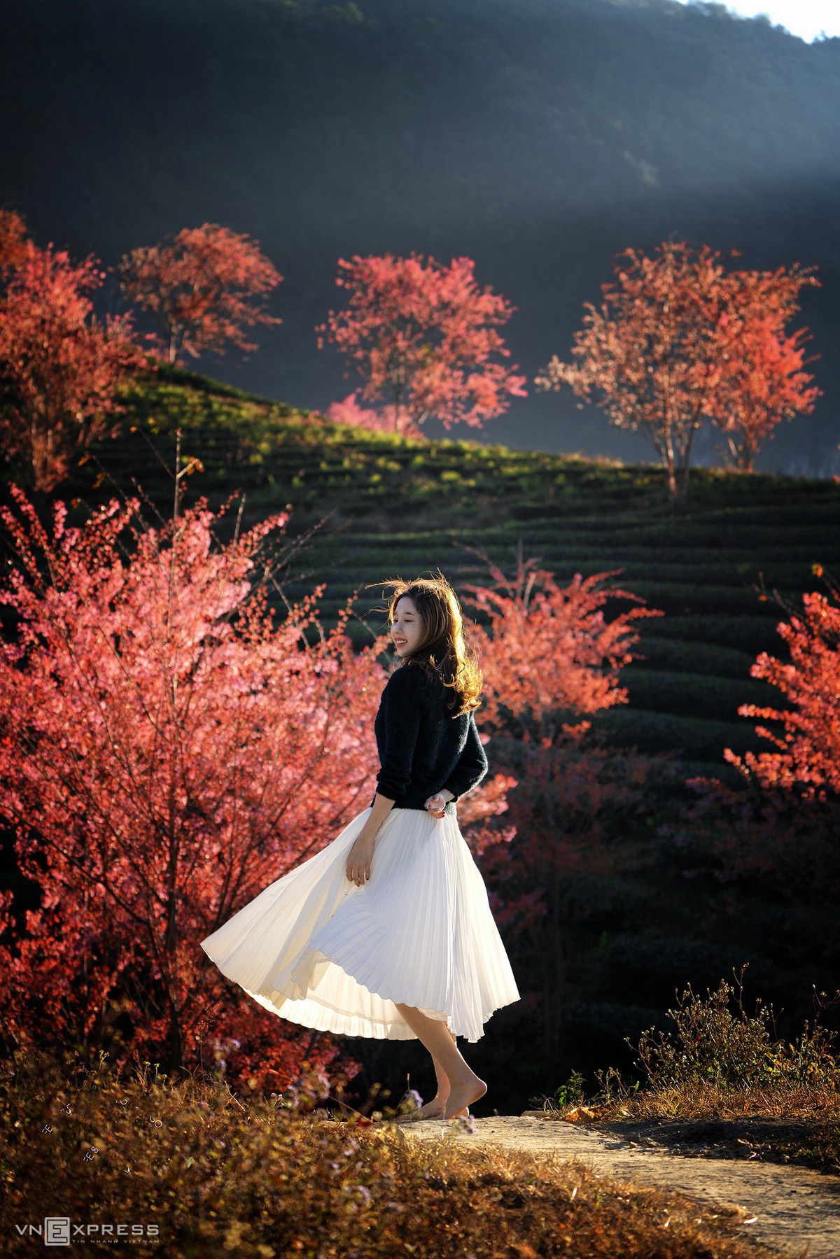 Sa Pa blushes in shades of pink