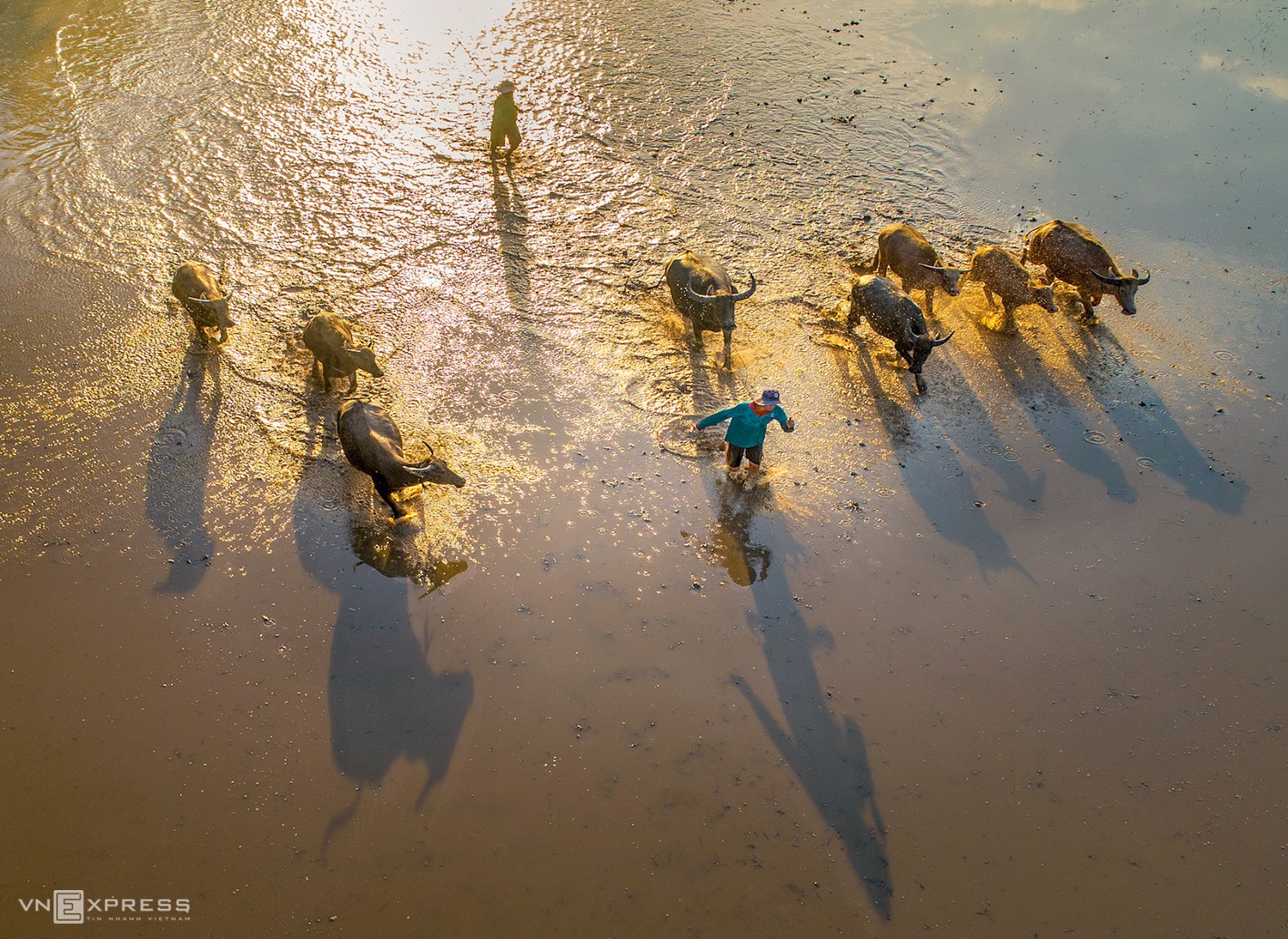 Vietnam's beauty comes to life through lens of Saigon photographer
