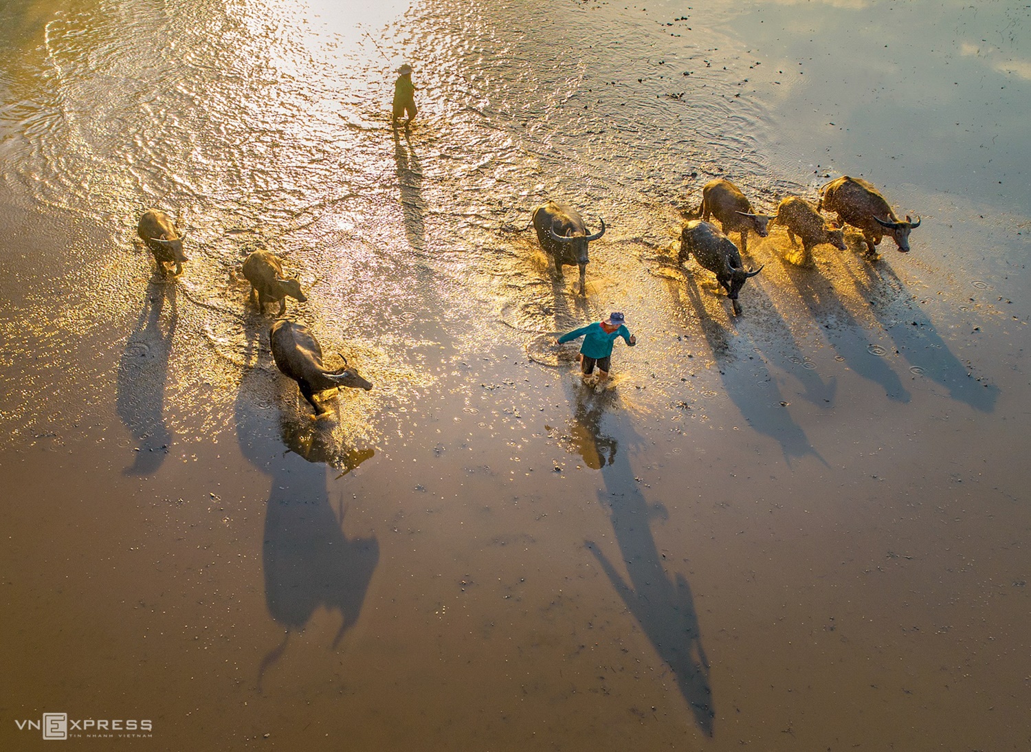 Vietnam's beauty comes to life through lens of Saigon photographer